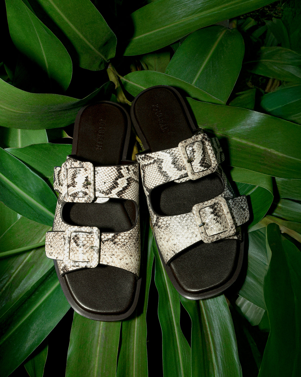 SEBASTIAN FLAT SLIDE NATURAL SNAKE PRINT LEATHER